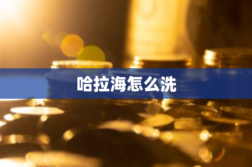 哈拉海怎么洗