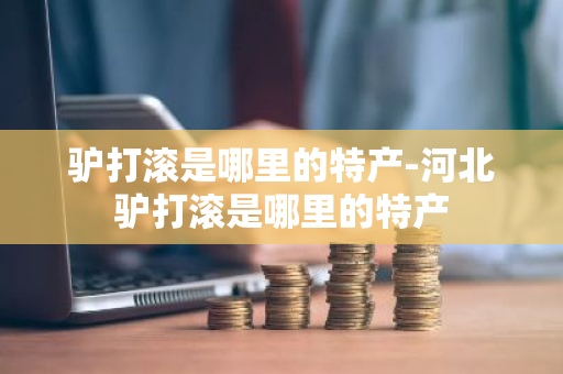 驴打滚是哪里的特产-河北驴打滚是哪里的特产
