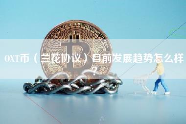 OT币（兰花协议）目前发展趋势怎么样？
