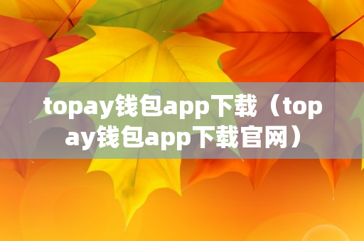 topay钱包app下载（topay钱包app下载官网）