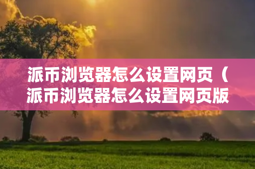 派币浏览器怎么设置网页（派币浏览器怎么设置网页版）