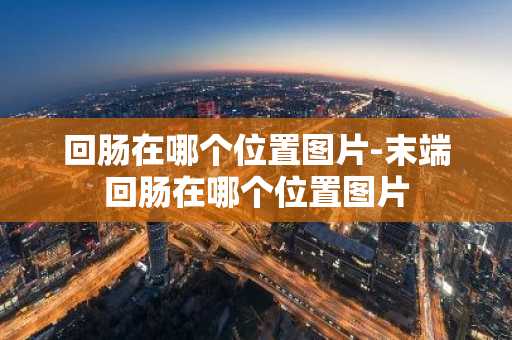 回肠在哪个位置图片-末端回肠在哪个位置图片