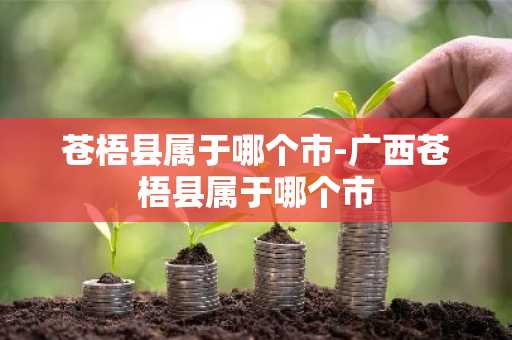 苍梧县属于哪个市-广西苍梧县属于哪个市