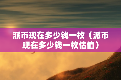 派币现在多少钱一枚（派币现在多少钱一枚估值）