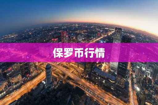 保罗币行情