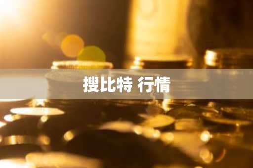 搜比特 行情