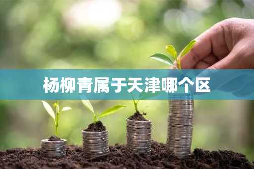 杨柳青属于天津哪个区