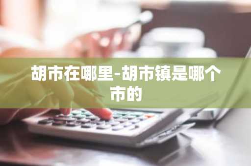 胡市在哪里-胡市镇是哪个市的