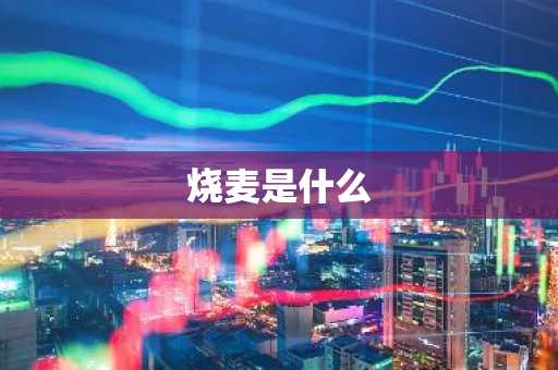 烧麦是什么