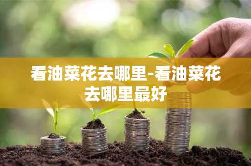 看油菜花去哪里-看油菜花去哪里最好