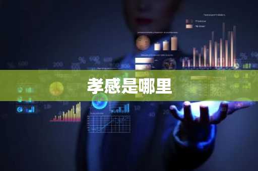 孝感是哪里
