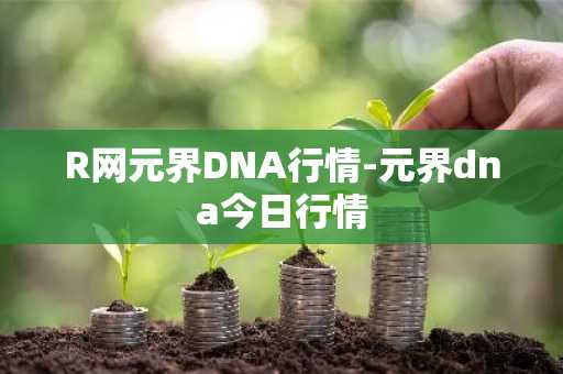 R网元界DNA行情-元界dna今日行情