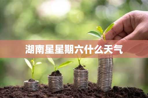 湖南星星期六什么天气