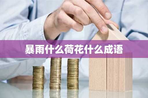 暴雨什么荷花什么成语