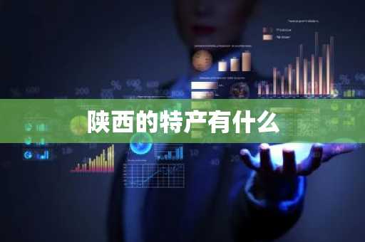 陕西的特产有什么