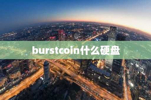 burstcoin什么硬盘