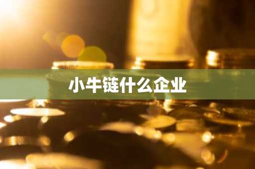 小牛链什么企业