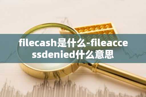 filecash是什么-fileaccessdenied什么意思