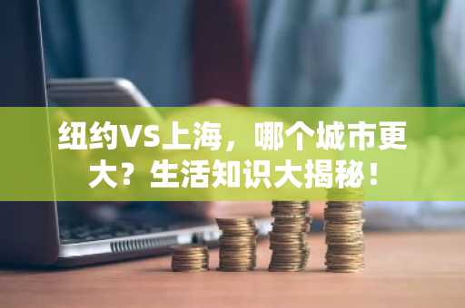 纽约VS上海，哪个城市更大？生活知识大揭秘！