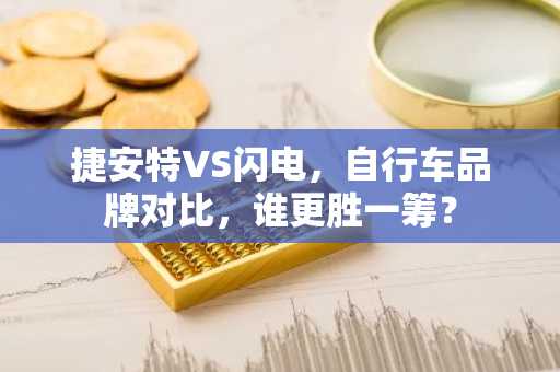 捷安特VS闪电，自行车品牌对比，谁更胜一筹？