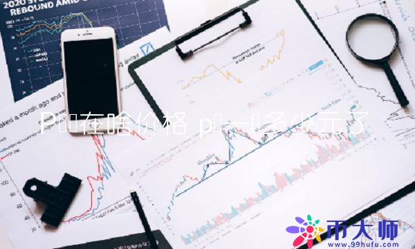 p币一个多少元了