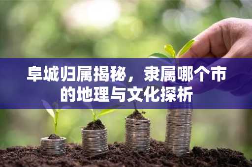 阜城归属揭秘，隶属哪个市的地理与文化探析