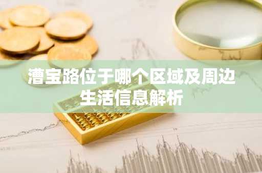 漕宝路位于哪个区域及周边生活信息解析