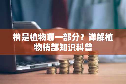 梢是植物哪一部分？详解植物梢部知识