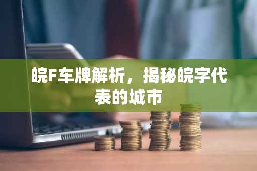 皖F车牌解析，揭秘皖字代表的城市