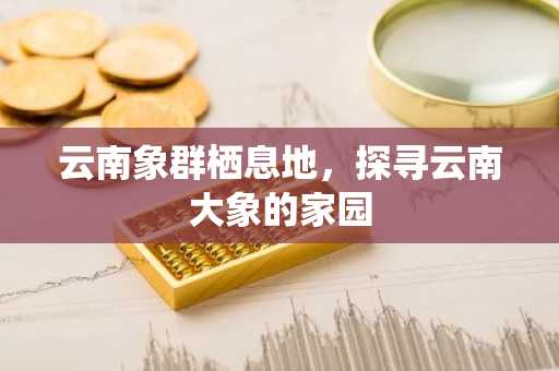 云南象群栖息地，探寻云南大象的家园