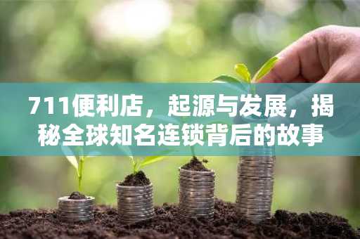 711便利店，起源与发展，揭秘全球知名连锁背后的故事