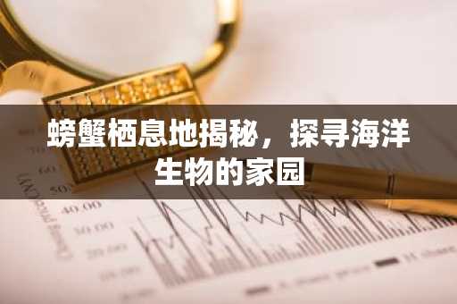 螃蟹栖息地揭秘，探寻海洋生物的家园