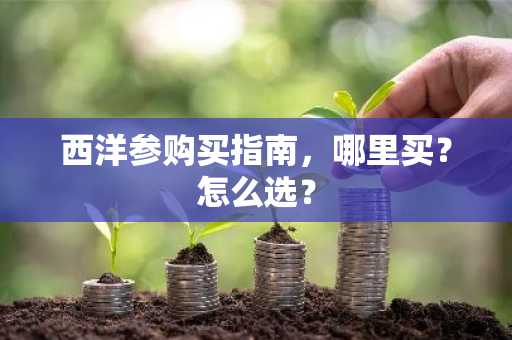 西洋参购买指南，哪里买？怎么选？