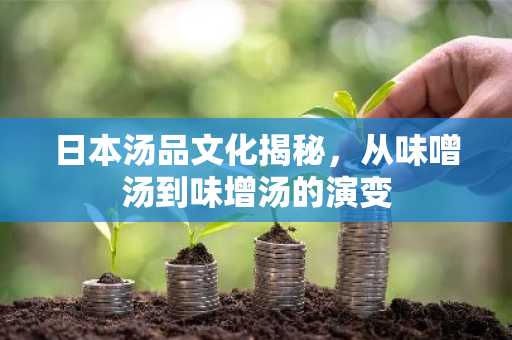 日本汤品文化揭秘，从味噌汤到味增汤的演变