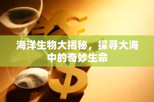 海洋生物大揭秘，探寻大海中的奇妙生命