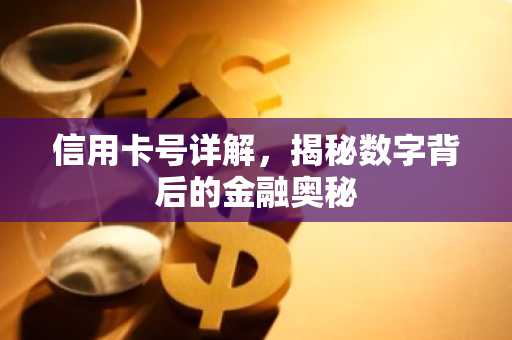 信用卡号详解，揭秘数字背后的金融奥秘