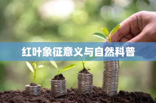 红叶象征意义与自然科普