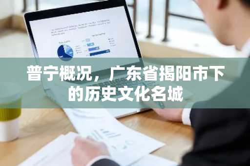 普宁概况，广东省揭阳市下的历史文化名城