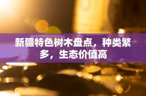 新疆特色树木盘点，种类繁多，生态价值高