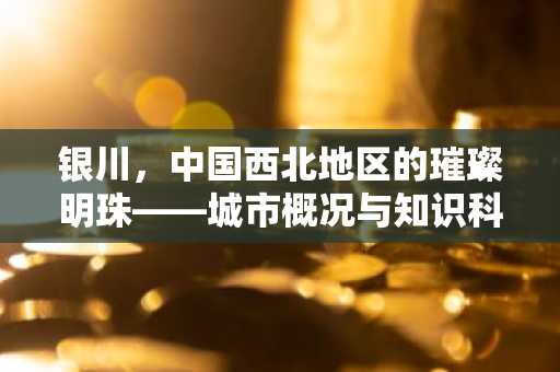银川，中国西北地区的璀璨明珠——城市概况与知识科普