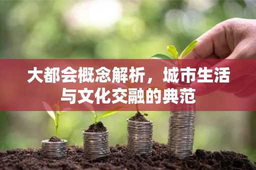 大都会概念解析，城市生活与文化交融的典范