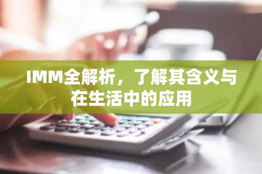 IMM全解析，了解其含义与在生活中的应用