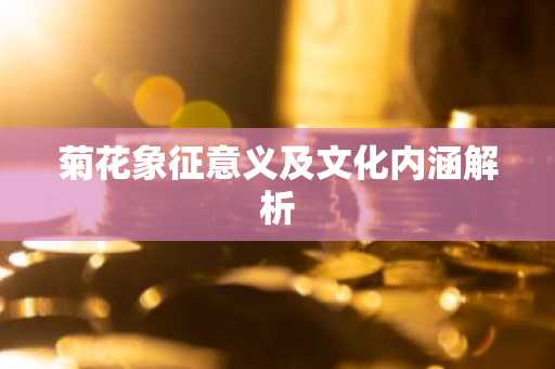 菊花象征意义及文化内涵解析
