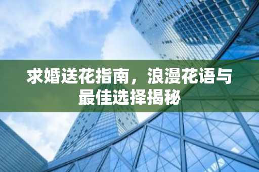 求婚送花指南，浪漫花语与最佳选择揭秘