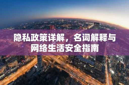 隐私政策详解，名词解释与网络生活安全指南