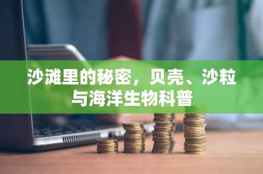 沙滩里的秘密，贝壳、沙粒与海洋生物科普