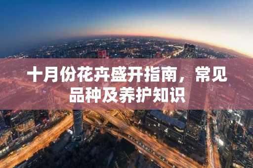 十月份花卉盛开指南，常见品种及养护知识