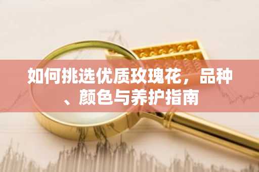 如何挑选优质玫瑰花，品种、颜色与养护指南