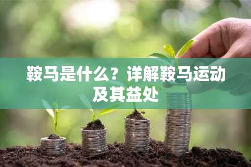 鞍马是什么？详解鞍马运动及其益处