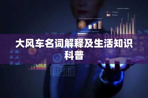 大风车名词解释及生活知识科普